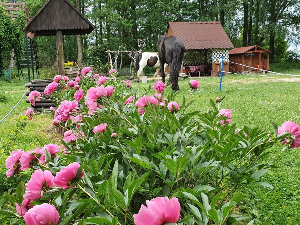 Villa Kurnik Polski Agroturystyka Tykocin Exterior foto