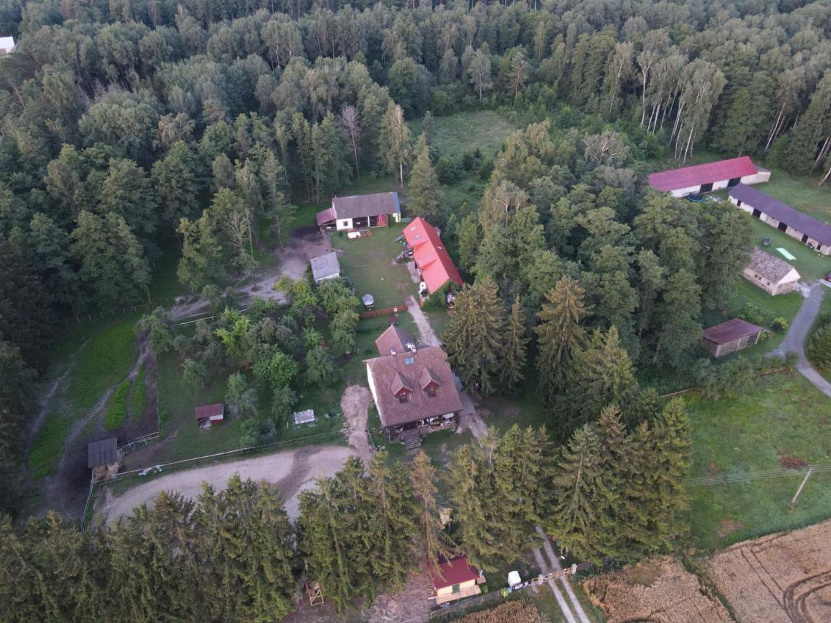 Villa Kurnik Polski Agroturystyka Tykocin Exterior foto