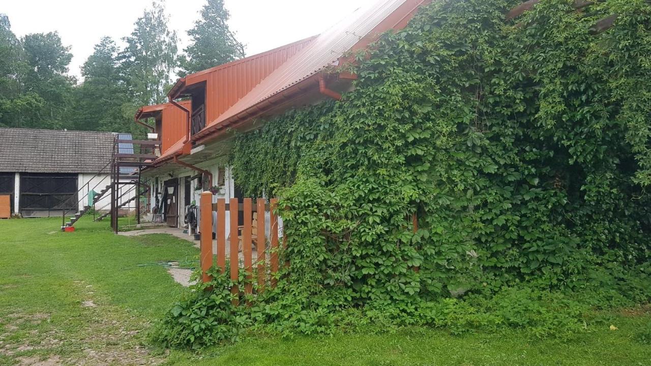 Villa Kurnik Polski Agroturystyka Tykocin Exterior foto