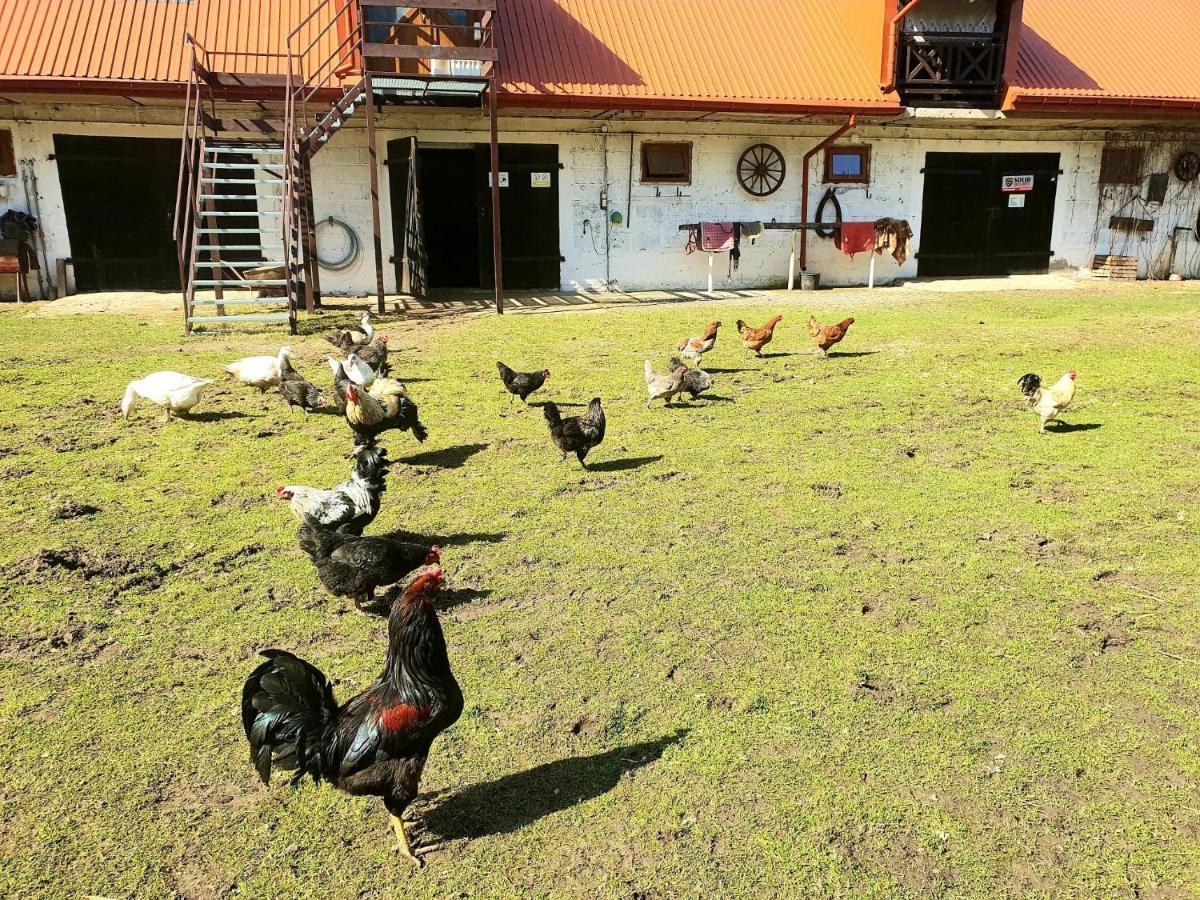 Villa Kurnik Polski Agroturystyka Tykocin Exterior foto