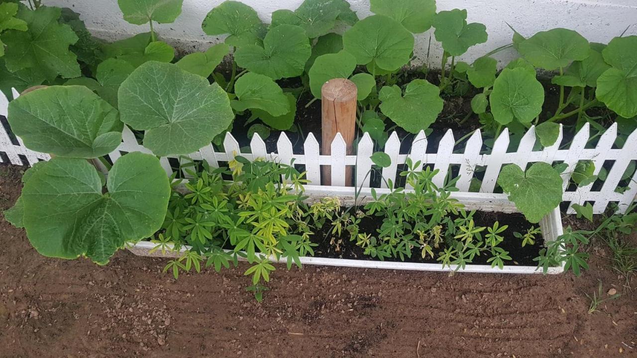 Kurnik Polski Agroturystyka Tykocin Exterior foto