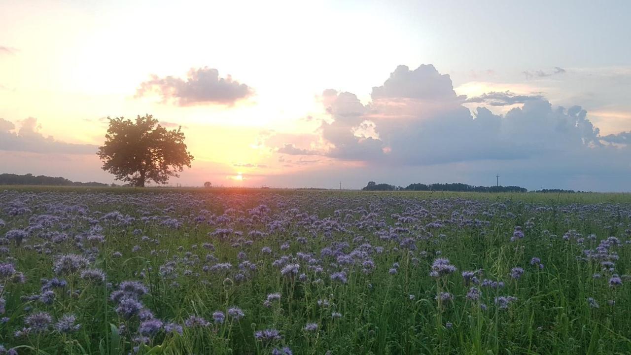 Kurnik Polski Agroturystyka Tykocin Exterior foto