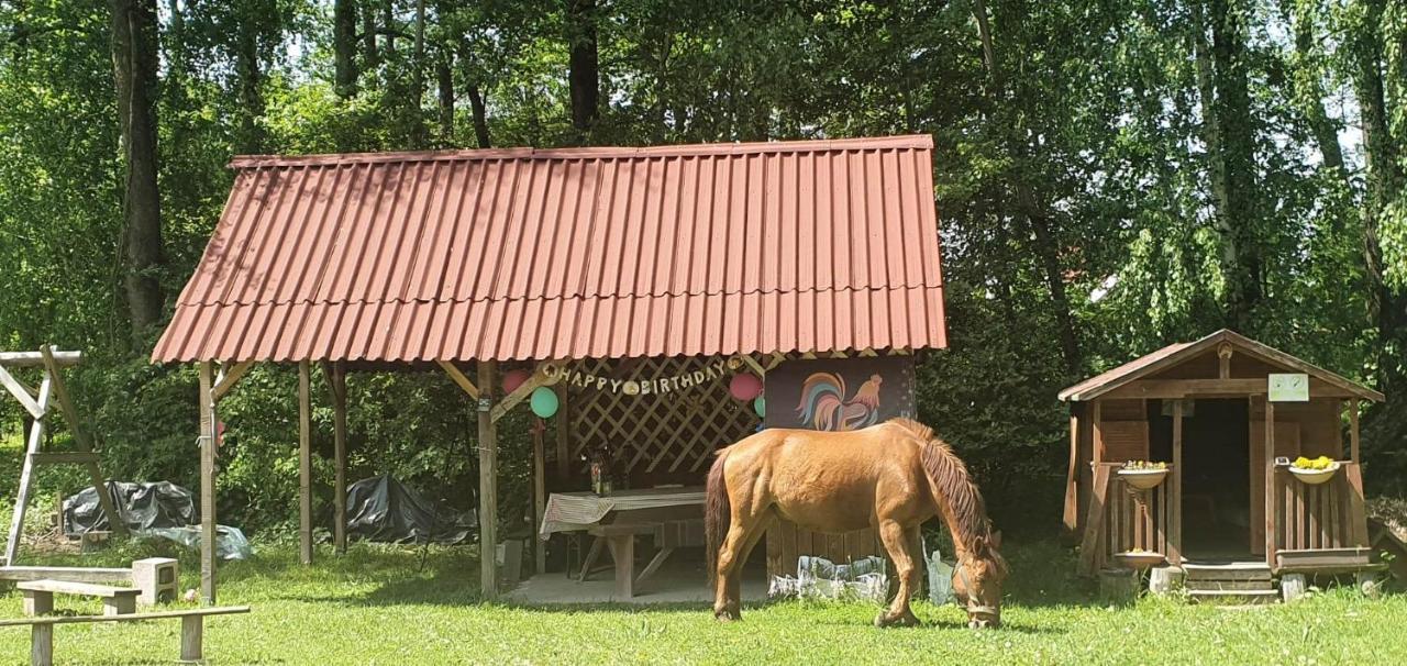 Villa Kurnik Polski Agroturystyka Tykocin Exterior foto